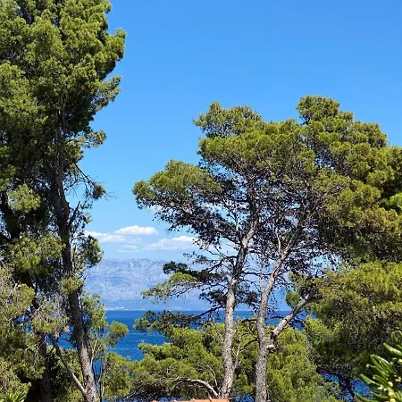 Apartment By The Sea Jelsa, Hvar - 8747